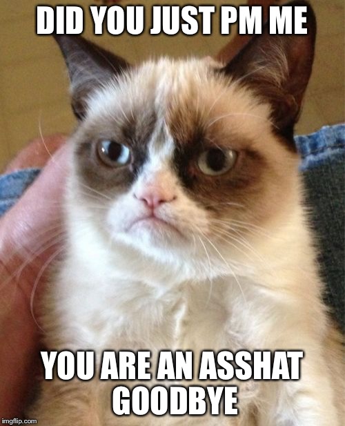Grumpy Cat Meme | DID YOU JUST PM ME; YOU ARE AN ASSHAT 
GOODBYE | image tagged in memes,grumpy cat | made w/ Imgflip meme maker