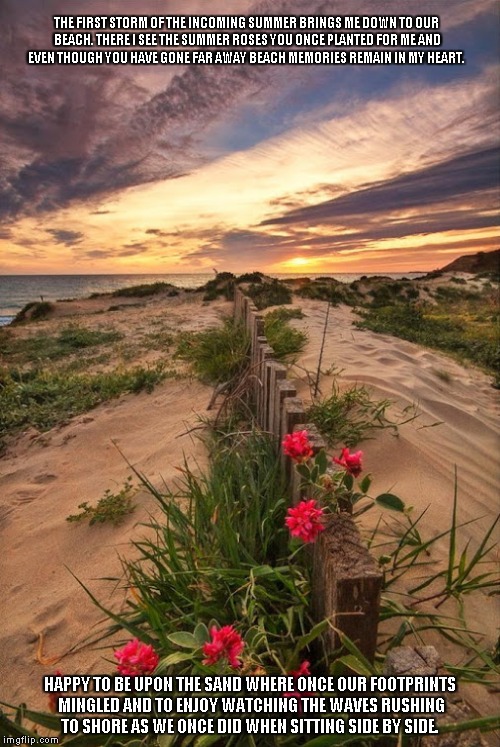 Beach Memories | THE FIRST STORM OF THE INCOMING SUMMER BRINGS ME DOWN TO OUR BEACH. THERE I SEE THE SUMMER ROSES YOU ONCE PLANTED FOR ME AND EVEN THOUGH YOU HAVE GONE FAR AWAY BEACH MEMORIES REMAIN IN MY HEART. HAPPY TO BE UPON THE SAND WHERE ONCE OUR FOOTPRINTS MINGLED AND TO ENJOY WATCHING THE WAVES RUSHING TO SHORE AS WE ONCE DID WHEN SITTING SIDE BY SIDE. | image tagged in beaches,memories,summer,summer storms,roses | made w/ Imgflip meme maker