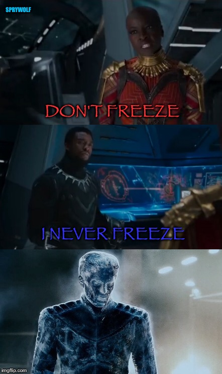 He Was frozen solid | SPRYWOLF; DON'T FREEZE; I NEVER FREEZE | image tagged in black panther,xmen,marvel cinematic universe,freeze,marvel | made w/ Imgflip meme maker