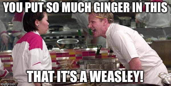 I’m sorry but I had to post this | YOU PUT SO MUCH GINGER IN THIS; THAT IT’S A WEASLEY! | image tagged in angry gordon | made w/ Imgflip meme maker