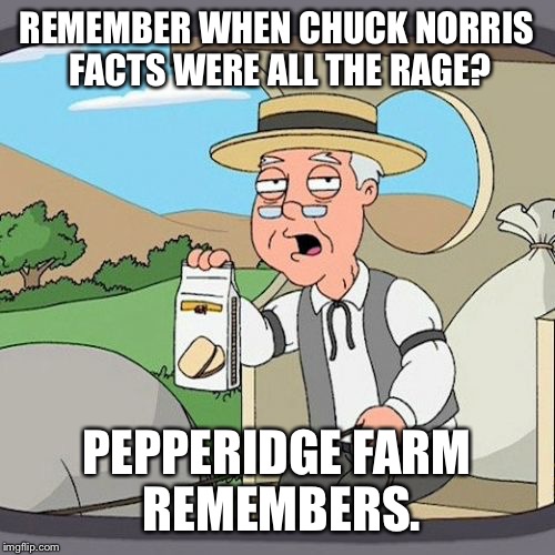 Pepperidge Farm Remembers | REMEMBER WHEN CHUCK NORRIS FACTS WERE ALL THE RAGE? PEPPERIDGE FARM REMEMBERS. | image tagged in memes,pepperidge farm remembers | made w/ Imgflip meme maker