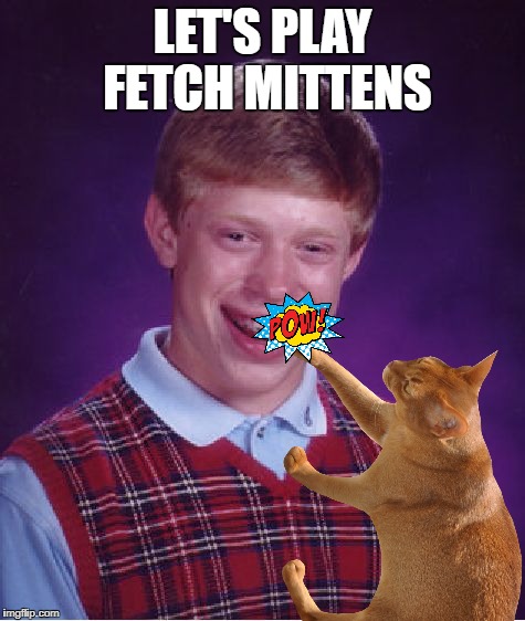 Bad Luck Brian Meme | LET'S PLAY FETCH MITTENS | image tagged in memes,bad luck brian | made w/ Imgflip meme maker