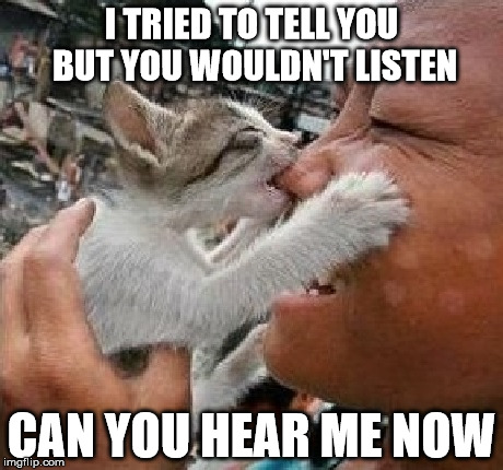 Can You Hear Me Now |  I TRIED TO TELL YOU BUT YOU WOULDN'T LISTEN; CAN YOU HEAR ME NOW | image tagged in can you hear me now,they told me but i didn't listen,getting attention,catch me outside how bout dat,catslovers,thug life | made w/ Imgflip meme maker