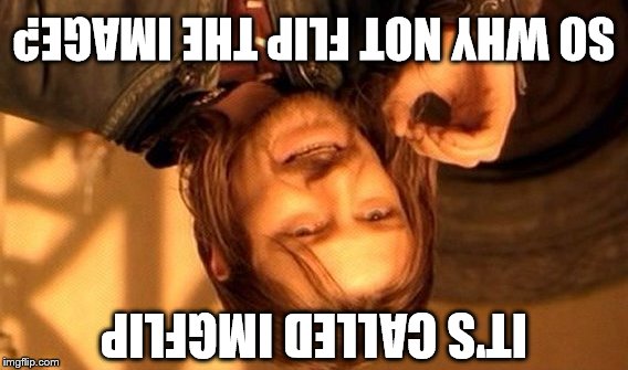 One Does Not Simply | SO WHY NOT FLIP THE IMAGE? IT'S CALLED IMGFLIP | image tagged in memes,one does not simply | made w/ Imgflip meme maker