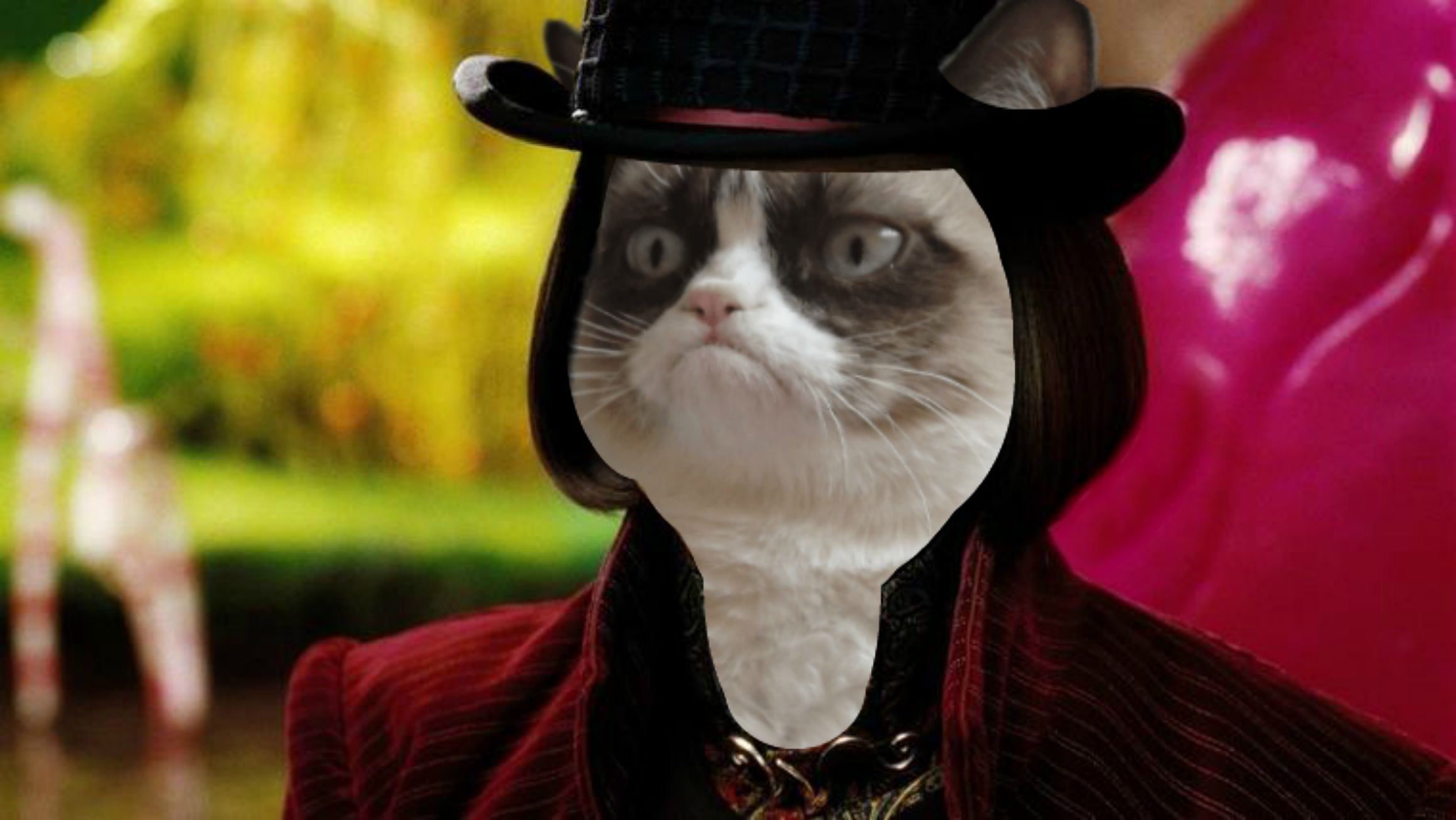 Wonka Grumpy Cat Blank Meme Template