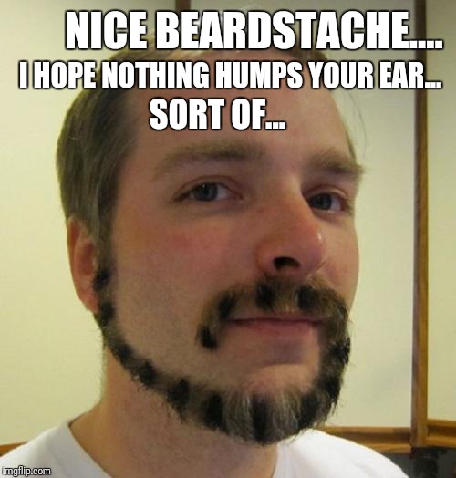 Cat people | NICE BEARDSTACHE.... I HOPE NOTHING HUMPS YOUR EAR... SORT OF... | image tagged in cats,grumpy cat,hump,hump day,beard | made w/ Imgflip meme maker