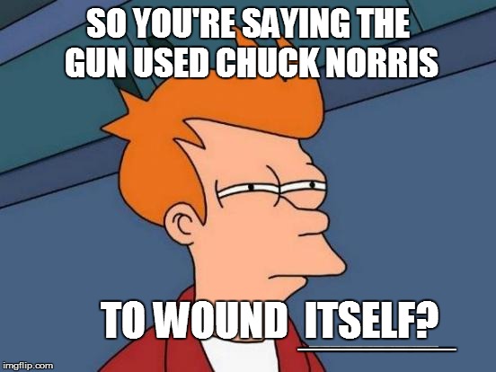 Futurama Fry Meme | SO YOU'RE SAYING THE GUN USED CHUCK NORRIS TO WOUND  ITSELF? ____________ _______ | image tagged in memes,futurama fry | made w/ Imgflip meme maker