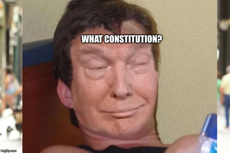 WHAT CONSTITUTION? | made w/ Imgflip meme maker