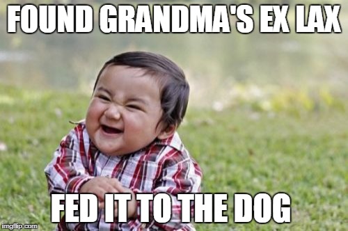 Evil Toddler Meme | FOUND GRANDMA'S EX LAX; FED IT TO THE DOG | image tagged in memes,evil toddler | made w/ Imgflip meme maker