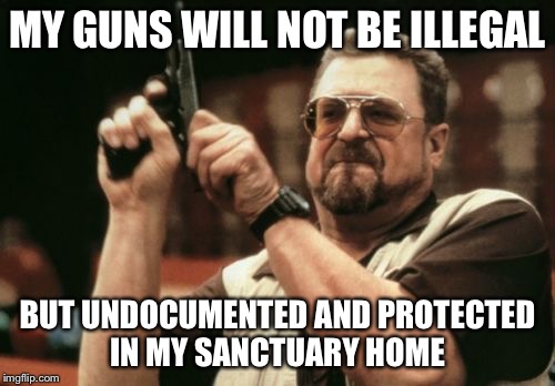 Am I The Only One Around Here Meme | MY GUNS WILL NOT BE ILLEGAL; BUT UNDOCUMENTED AND PROTECTED IN MY SANCTUARY HOME | image tagged in memes,am i the only one around here | made w/ Imgflip meme maker