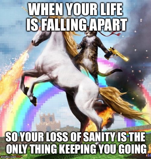 Welcome To The Internets | WHEN YOUR LIFE IS FALLING APART; SO YOUR LOSS OF SANITY IS THE ONLY THING KEEPING YOU GOING | image tagged in memes,welcome to the internets | made w/ Imgflip meme maker