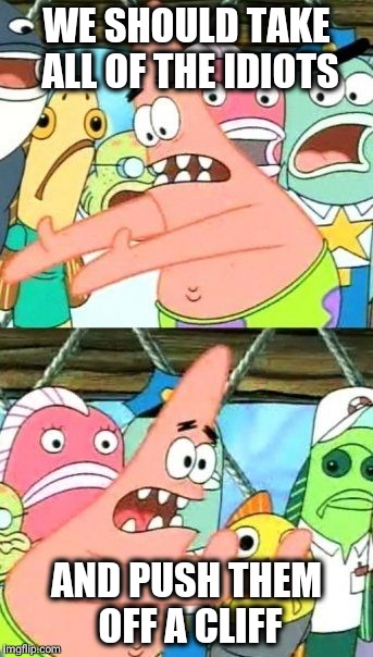 Put It Somewhere Else Patrick | WE SHOULD TAKE ALL OF THE IDIOTS; AND PUSH THEM OFF A CLIFF | image tagged in memes,put it somewhere else patrick | made w/ Imgflip meme maker