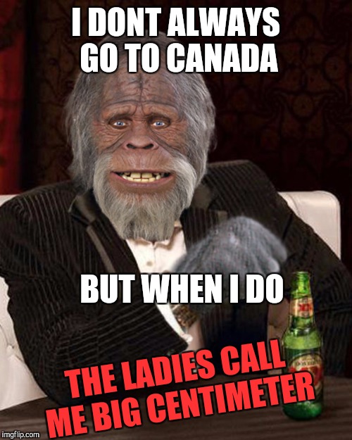 Bigfoot meets the metric system and it's all GOOD | I DONT ALWAYS GO TO CANADA; BUT WHEN I DO; THE LADIES CALL ME BIG CENTIMETER | image tagged in bigfoot eques,meme,hot girl,meanwhile in canada,funny,metric | made w/ Imgflip meme maker