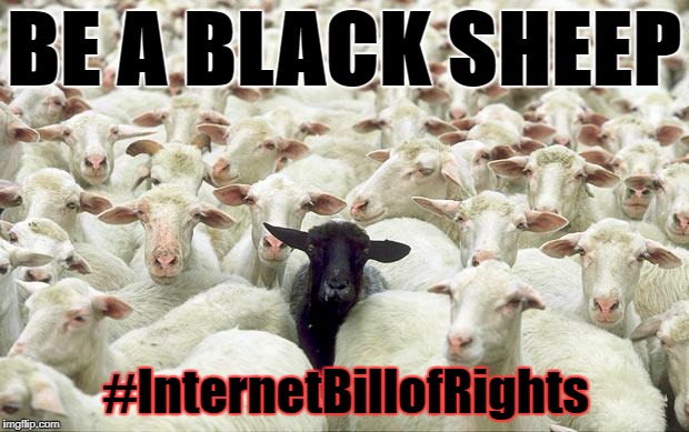 Internet Bill of Rights!