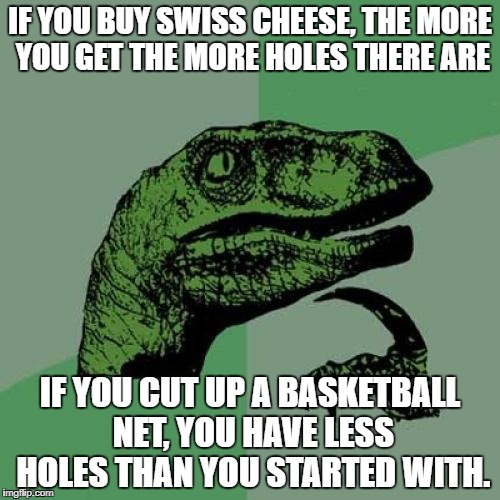 Philosoraptor | IF YOU BUY SWISS CHEESE, THE MORE YOU GET THE MORE HOLES THERE ARE; IF YOU CUT UP A BASKETBALL NET, YOU HAVE LESS HOLES THAN YOU STARTED WITH. | image tagged in memes,philosoraptor | made w/ Imgflip meme maker