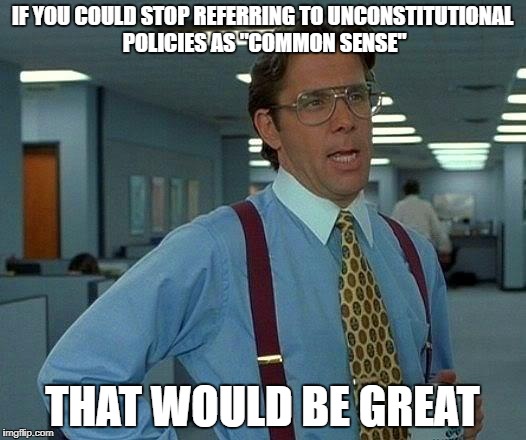 That Would Be Great Meme | IF YOU COULD STOP REFERRING TO UNCONSTITUTIONAL POLICIES AS "COMMON SENSE"; THAT WOULD BE GREAT | image tagged in memes,that would be great | made w/ Imgflip meme maker
