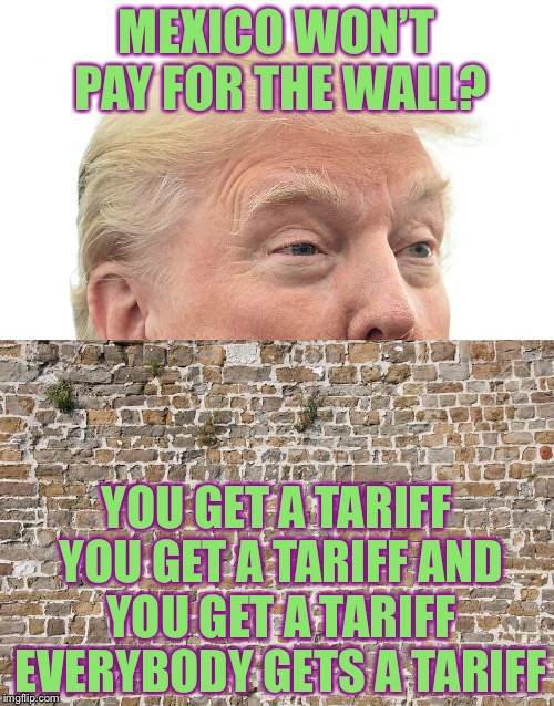 Trump Wall | MEXICO WON’T PAY FOR THE WALL? YOU GET A TARIFF YOU GET A TARIFF AND YOU GET A TARIFF EVERYBODY GETS A TARIFF | image tagged in trump wall,memes | made w/ Imgflip meme maker