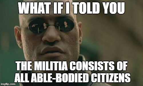 Matrix Morpheus Meme | WHAT IF I TOLD YOU; THE MILITIA CONSISTS OF ALL ABLE-BODIED CITIZENS | image tagged in memes,matrix morpheus | made w/ Imgflip meme maker