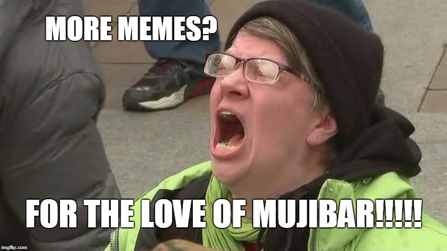 Noooo | MORE MEMES? FOR THE LOVE OF MUJIBAR!!!!! | image tagged in noooo | made w/ Imgflip meme maker