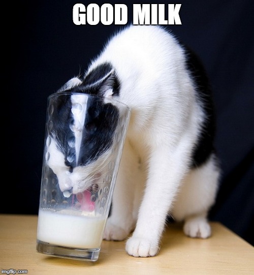 GOOD MILK | made w/ Imgflip meme maker