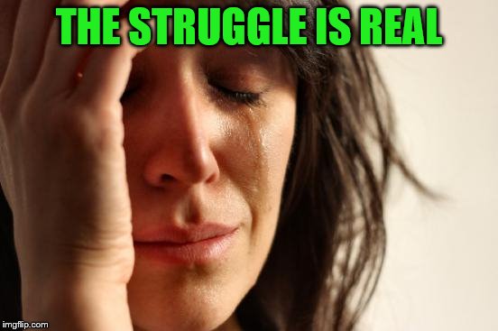 First World Problems Meme | THE STRUGGLE IS REAL | image tagged in memes,first world problems | made w/ Imgflip meme maker