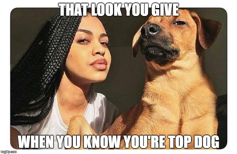 THAT LOOK YOU GIVE; WHEN YOU KNOW YOU'RE TOP DOG | image tagged in look | made w/ Imgflip meme maker