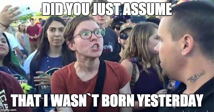 Did you just assume my gender | DID YOU JUST ASSUME; THAT I WASN`T BORN YESTERDAY | image tagged in did you just assume my gender | made w/ Imgflip meme maker