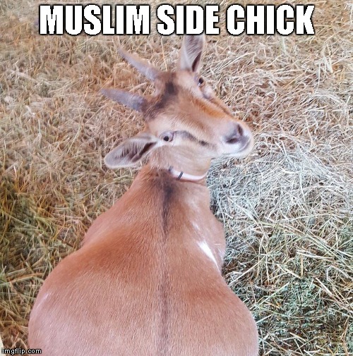MUSLIM SIDE CHICK | made w/ Imgflip meme maker