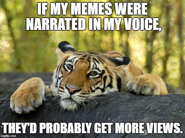 I've been told many times I have a nice voice. |  IF MY MEMES WERE NARRATED IN MY VOICE, THEY'D PROBABLY GET MORE VIEWS. | image tagged in confession tiger,voice | made w/ Imgflip meme maker