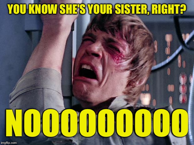 YOU KNOW SHE'S YOUR SISTER, RIGHT? NOOOOOOOOO | made w/ Imgflip meme maker