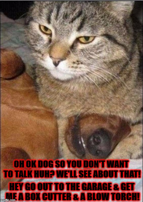 OH OK DOG SO YOU DON'T WANT TO TALK HUH? WE'LL SEE ABOUT THAT! HEY GO OUT TO THE GARAGE & GET ME A BOX CUTTER & A BLOW TORCH! | image tagged in dog killer | made w/ Imgflip meme maker