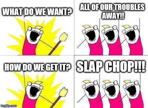 What Do We Want Meme | WHAT DO WE WANT? ALL OF OUR TROUBLES AWAY!! SLAP CHOP!!! HOW DO WE GET IT? | image tagged in memes,what do we want | made w/ Imgflip meme maker