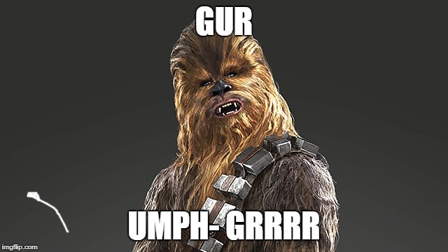 chewbacca | GUR UMPH- GRRRR | image tagged in chewbacca | made w/ Imgflip meme maker