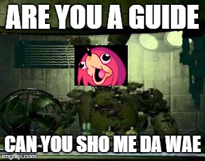 FNAF Springtrap in window | ARE YOU A GUIDE; CAN YOU SHO ME DA WAE | image tagged in fnaf springtrap in window | made w/ Imgflip meme maker