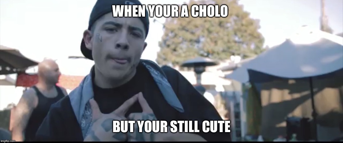 CUTE CHOLO | WHEN YOUR A CHOLO; BUT YOUR STILL CUTE | image tagged in beaver,cholo,mexican,gangster,pyt | made w/ Imgflip meme maker