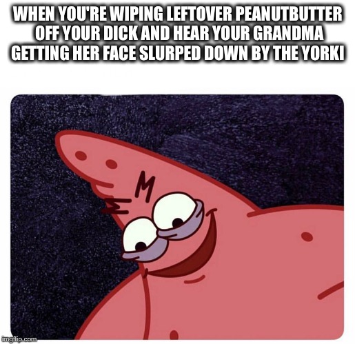 WHEN YOU'RE WIPING LEFTOVER PEANUTBUTTER OFF YOUR DICK AND HEAR YOUR GRANDMA GETTING HER FACE SLURPED DOWN BY THE YORKI | image tagged in memes,funny memes,hilarious | made w/ Imgflip meme maker