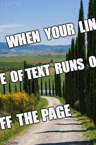 WHEN  YOUR  LIN FF  THE PAGE E  OF TEXT  RUNS  O | made w/ Imgflip meme maker
