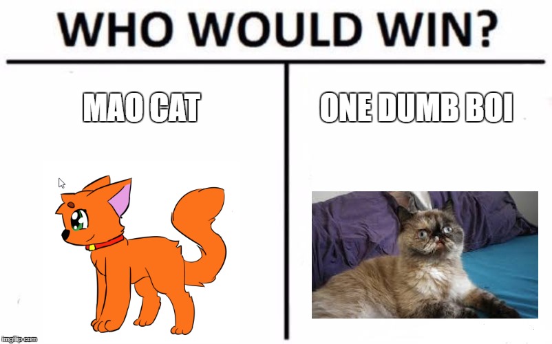 Who Would Win? | MAO CAT; ONE DUMB BOI | image tagged in memes,who would win | made w/ Imgflip meme maker