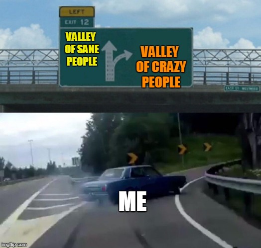 Left Exit 12 Off Ramp Meme | VALLEY OF CRAZY PEOPLE; VALLEY OF SANE PEOPLE; ME | image tagged in memes,left exit 12 off ramp | made w/ Imgflip meme maker