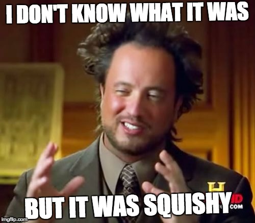 Ancient Aliens | I DON'T KNOW WHAT IT WAS; BUT IT WAS SQUISHY | image tagged in memes,ancient aliens | made w/ Imgflip meme maker