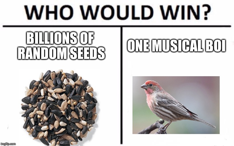 A meme for the older generation to enjoy | BILLIONS OF RANDOM SEEDS; ONE MUSICAL BOI | image tagged in memes,who would win,birds | made w/ Imgflip meme maker
