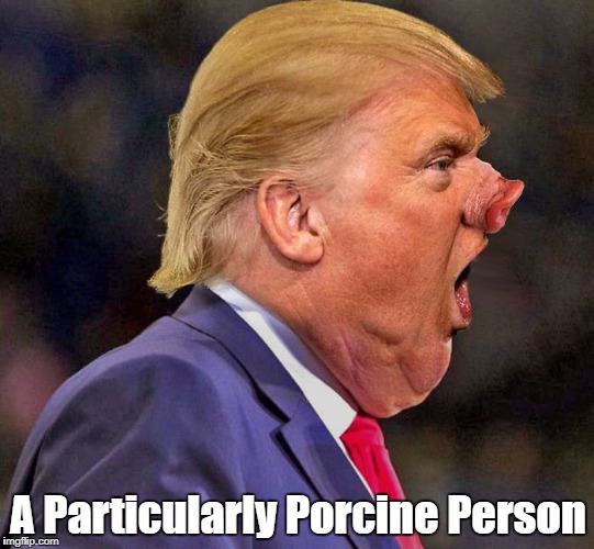 "A Particularly Porcine Person" | A Particularly Porcine Person | image tagged in deplorable donald,despicable donald,devious donald,detestable donald,dishonorable donald,dishonest donald | made w/ Imgflip meme maker