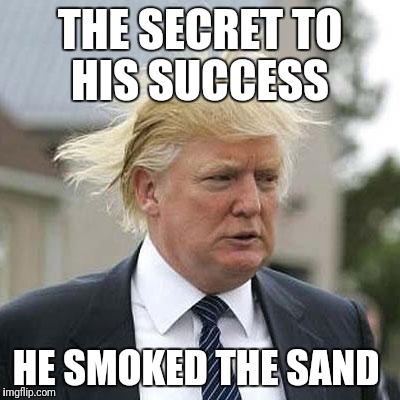 Sand Success man | THE SECRET TO HIS SUCCESS; HE SMOKED THE SAND | image tagged in donald trump | made w/ Imgflip meme maker