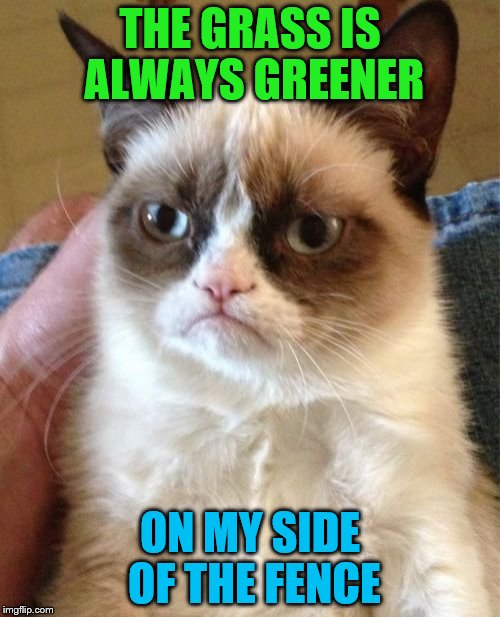 Grumpy Cat Meme | THE GRASS IS ALWAYS GREENER; ON MY SIDE OF THE FENCE | image tagged in memes,grumpy cat | made w/ Imgflip meme maker