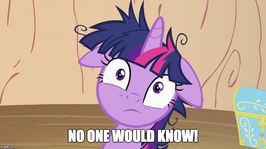 Messy Twilight Sparkle | NO ONE WOULD KNOW! | image tagged in messy twilight sparkle | made w/ Imgflip meme maker