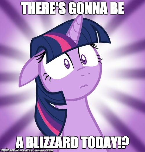 Shocked Twilight Sparkle | THERE'S GONNA BE; A BLIZZARD TODAY!? | image tagged in shocked twilight sparkle | made w/ Imgflip meme maker