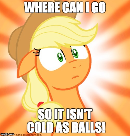 Shocked Applejack | WHERE CAN I GO; SO IT ISN'T COLD AS BALLS! | image tagged in shocked applejack | made w/ Imgflip meme maker