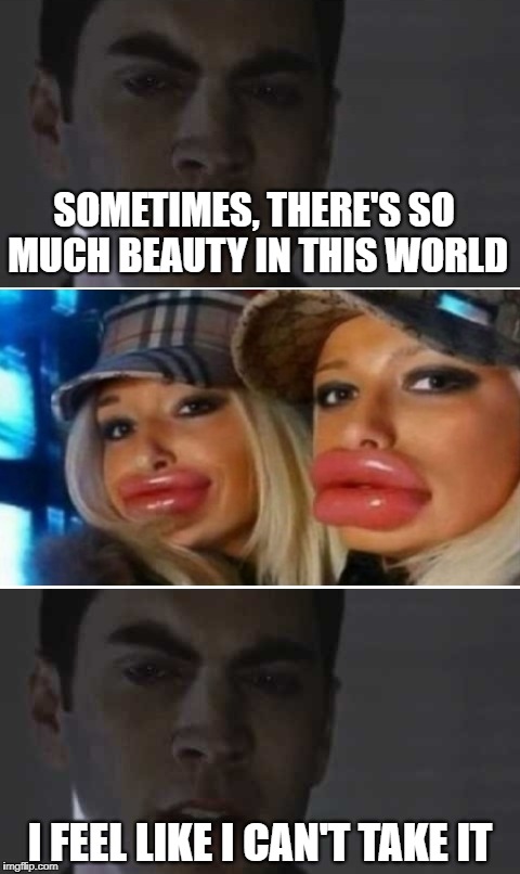 So Much Beauty | SOMETIMES, THERE'S SO MUCH BEAUTY IN THIS WORLD; I FEEL LIKE I CAN'T TAKE IT | image tagged in memes,american,beauty,botox,fails,epic fail | made w/ Imgflip meme maker