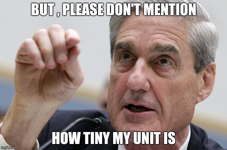 BUT , PLEASE DON'T MENTION HOW TINY MY UNIT IS | image tagged in robert mueller penis size | made w/ Imgflip meme maker