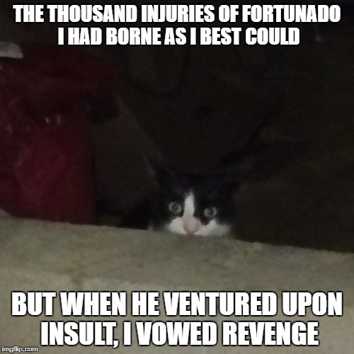THE THOUSAND INJURIES OF FORTUNADO I HAD BORNE AS I BEST COULD; BUT WHEN HE VENTURED UPON INSULT, I VOWED REVENGE | image tagged in edgar allan poe | made w/ Imgflip meme maker